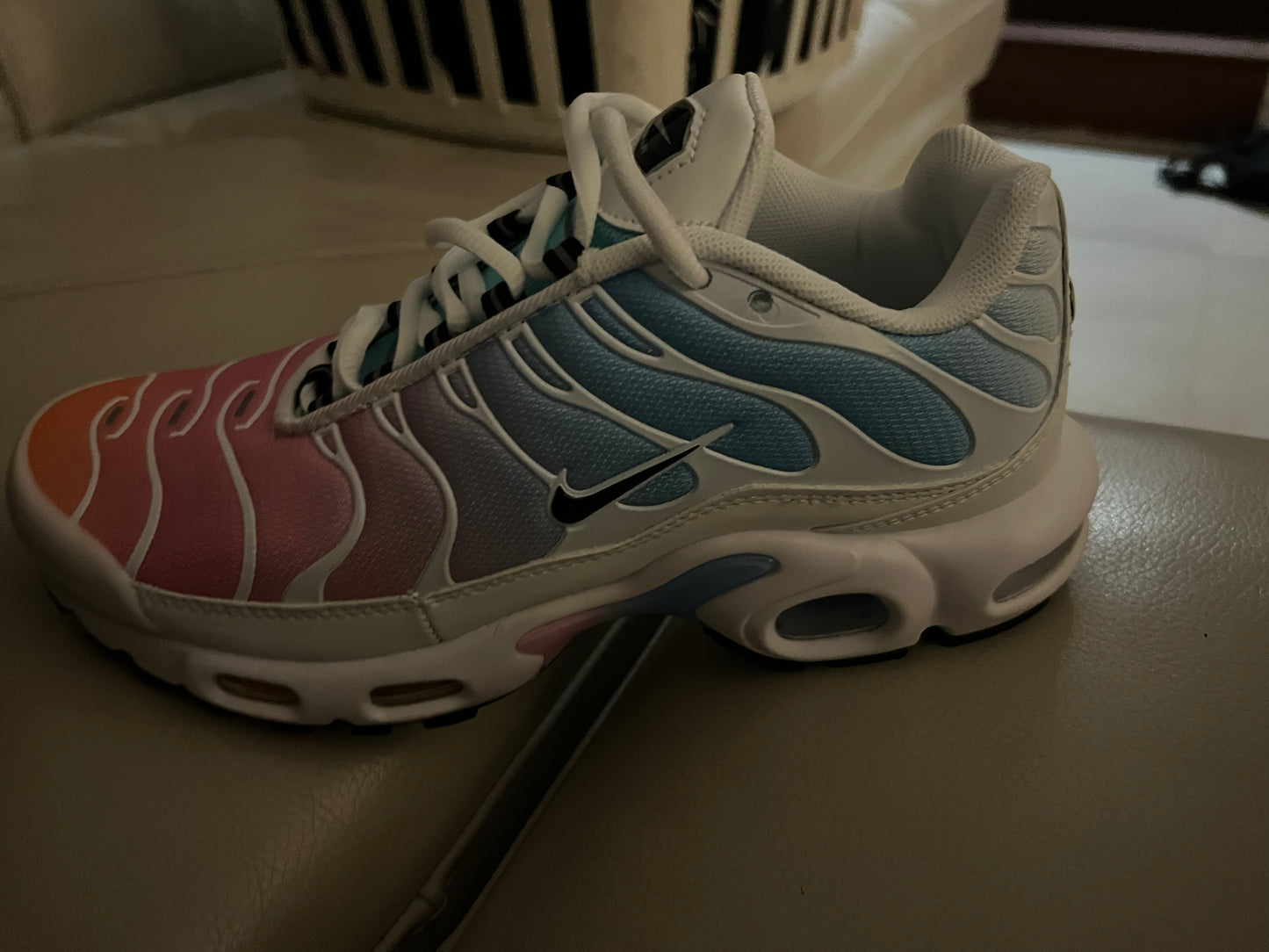 Nike Air Max Plus TN - Rainbow Summer Gradient (limited edition)