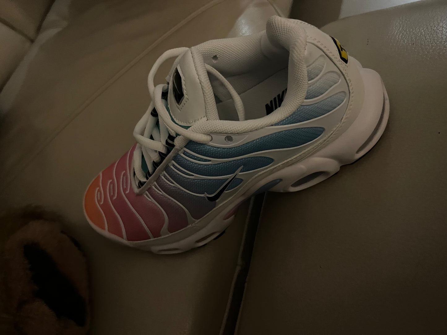 Nike Air Max Plus TN - Rainbow Summer Gradient (limited edition)