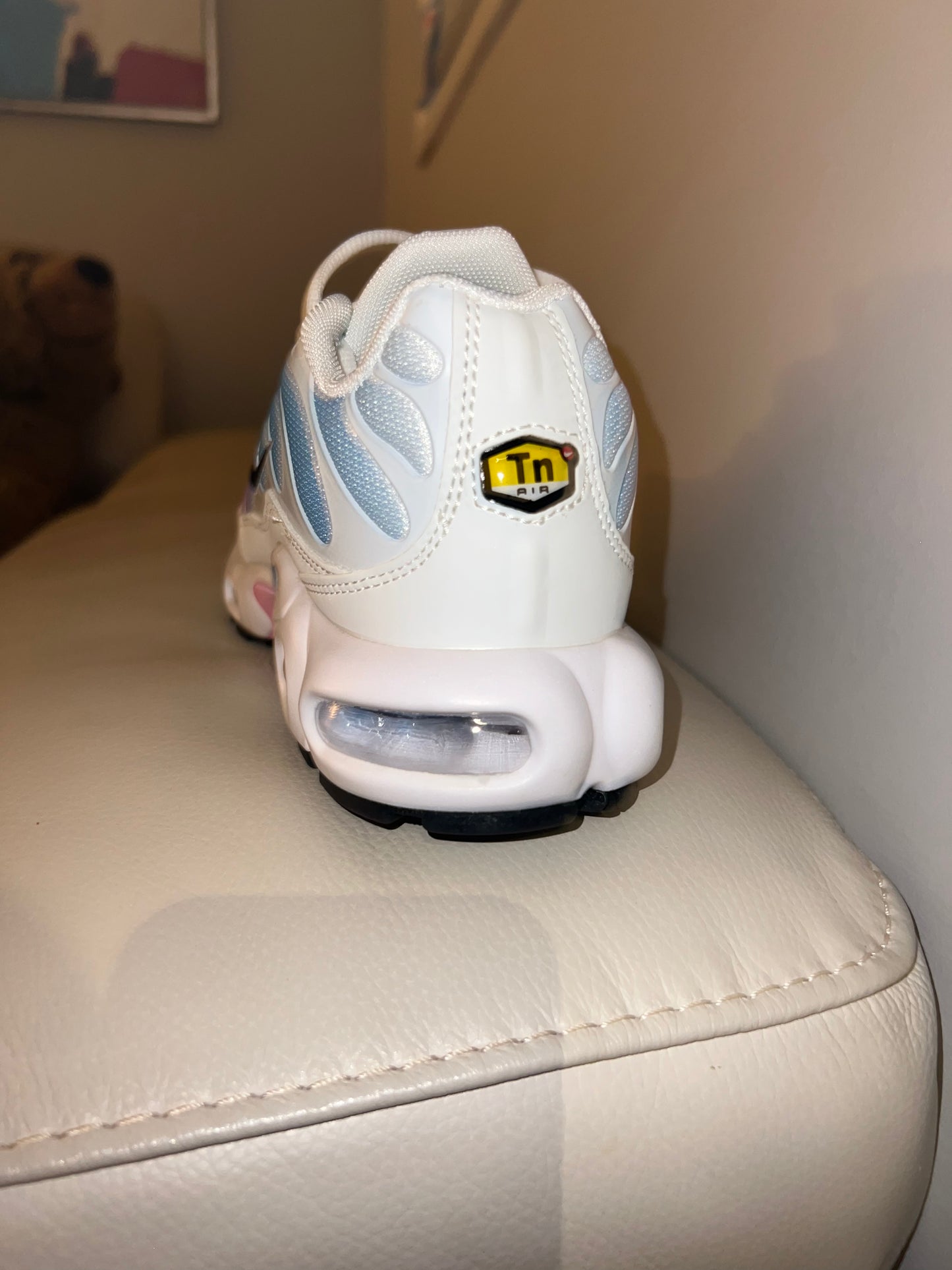 Nike Air Max Plus TN - Rainbow Summer Gradient (limited edition)