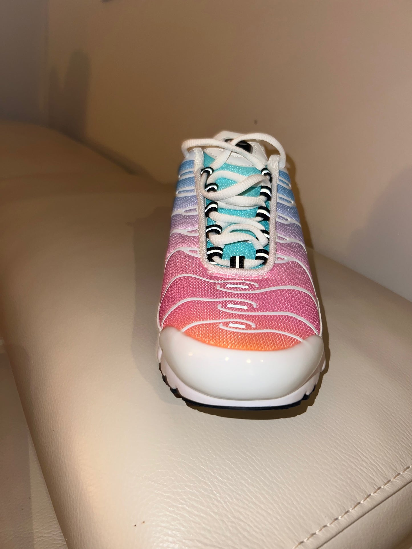 Nike Air Max Plus TN - Rainbow Summer Gradient (limited edition)