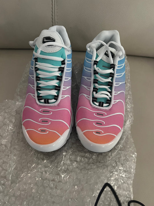 Nike Air Max Plus TN - Rainbow Summer Gradient (limited edition)